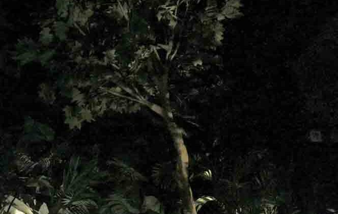 Seneca Trattoria night sky