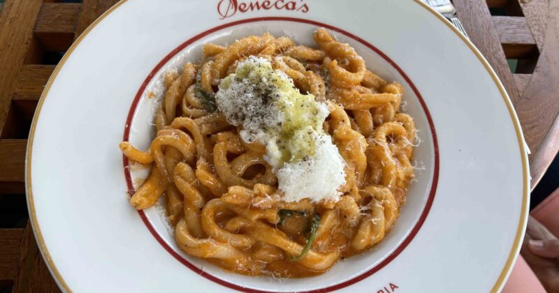 Seneca Trattoria pasta plate Seneca Trattoria pasta plate