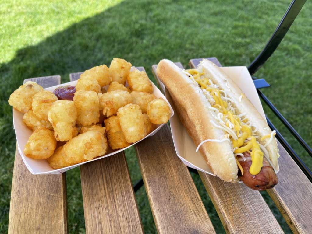 tater tots and hot dog