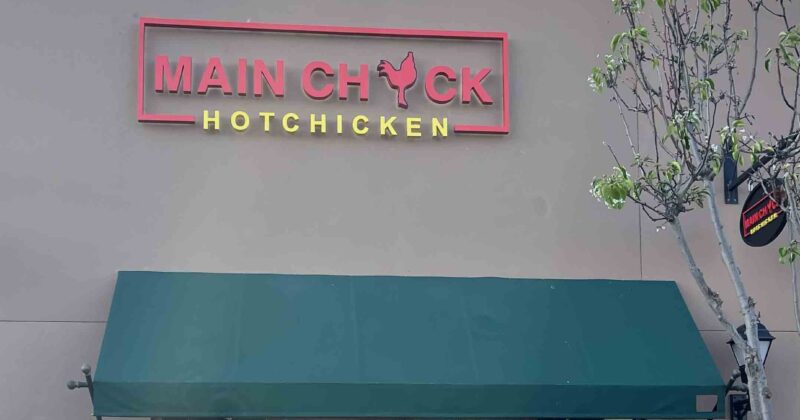 Main Chick 1