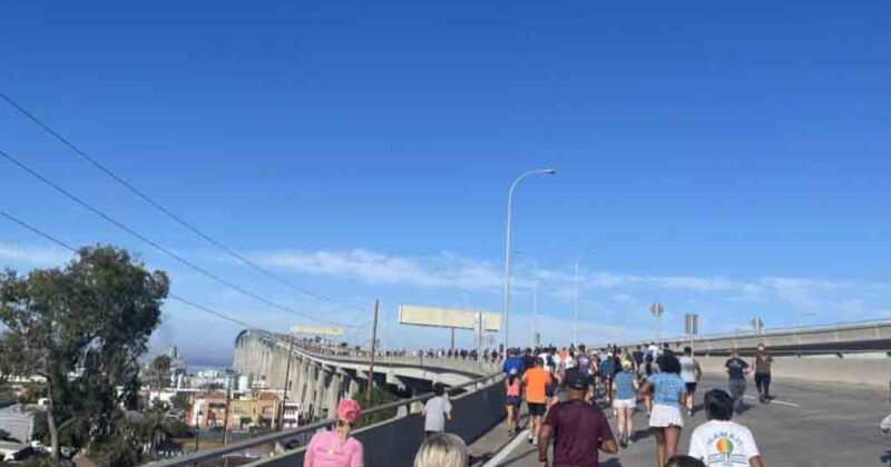 Navy Bay Bridge Run 1 Navy Bay Bridge Run 1