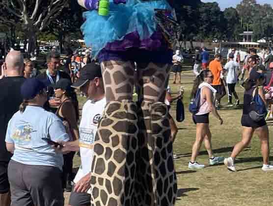 Navy Bay Bridge Run 8