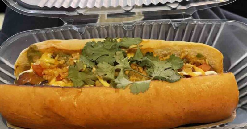 Petco Park barrio dog Petco Park barrio dog