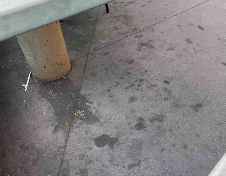 Pizza Port Bressi Ranch floor Pizza Port Bressi Ranch floor