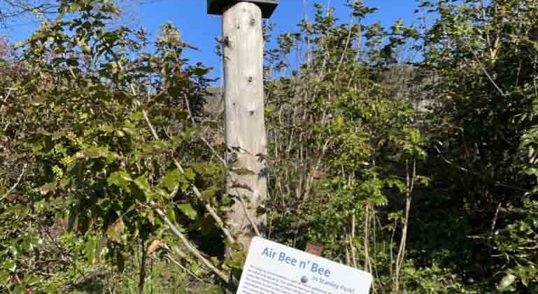 Stanley Park Air Bee n Bee