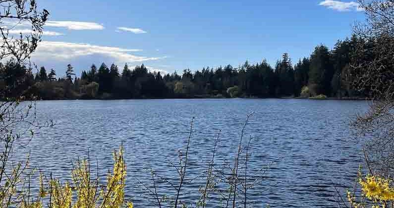 Stanley Park lake