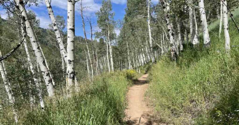 Vail Ski Resort dirt trail
