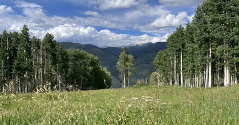 Vail Ski Resort grass run