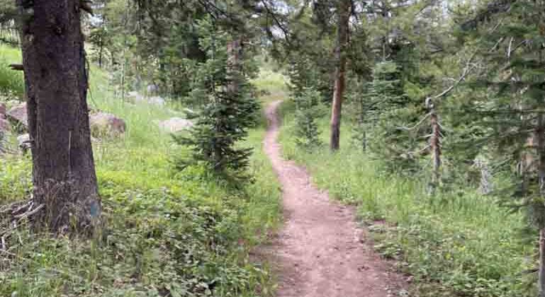 Vail Ski Resort trail