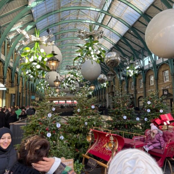 Christmas Trees