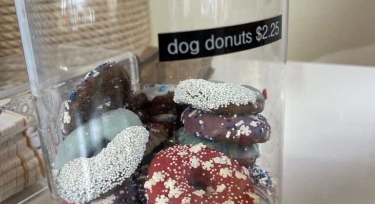 Dog Donuts