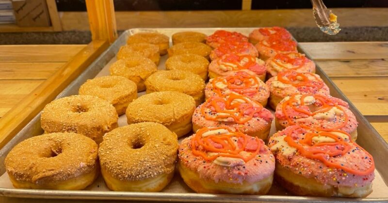 Donut Tray 2