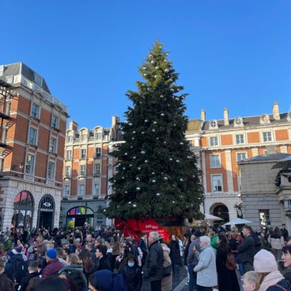 Large Christmas Tree