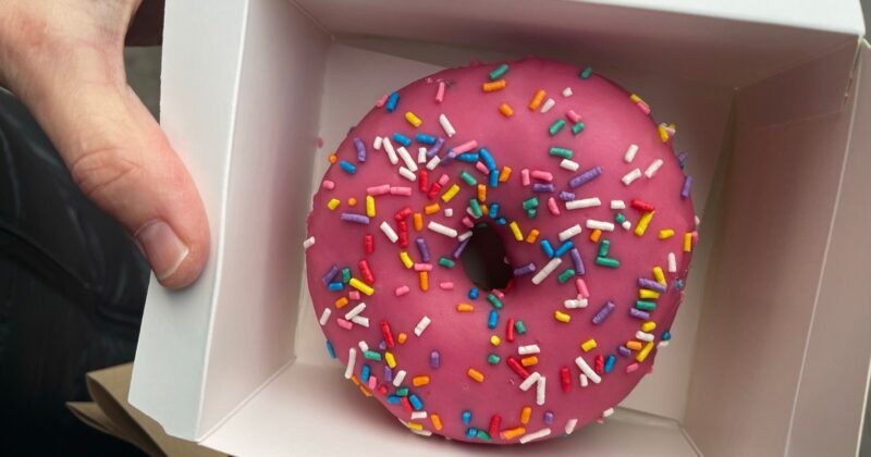 Single Doughnut