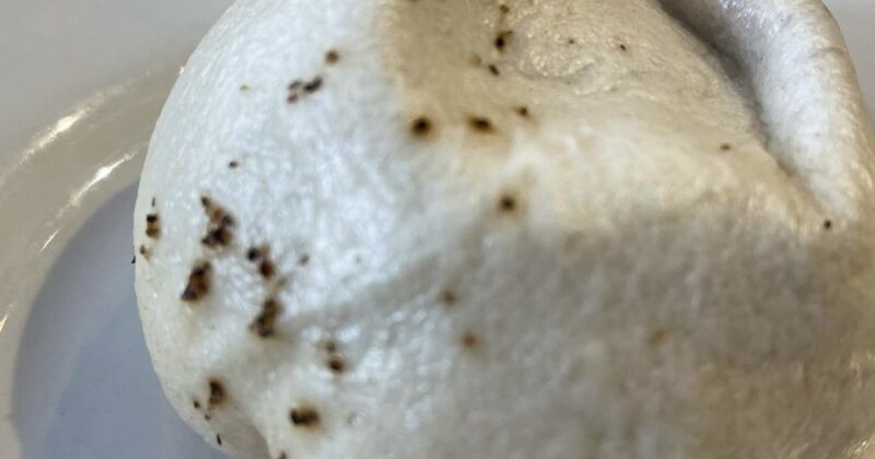 Whole Dumpling