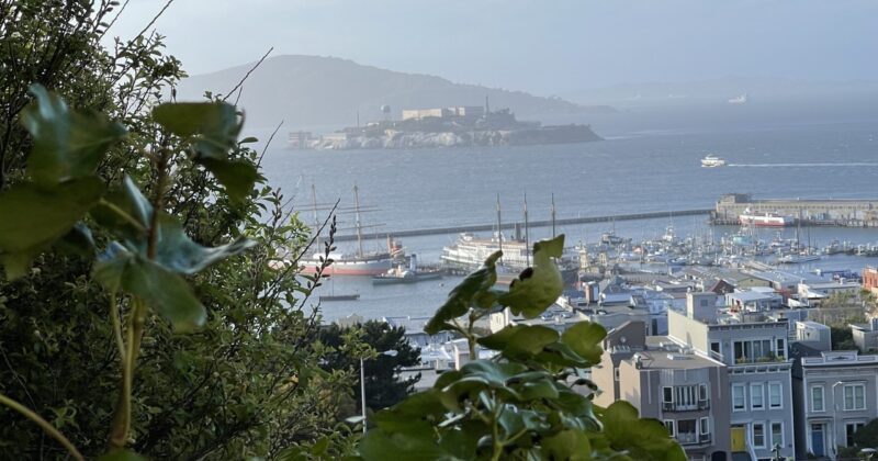 Alcatraz 1
