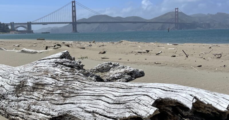 GG Bridge 3