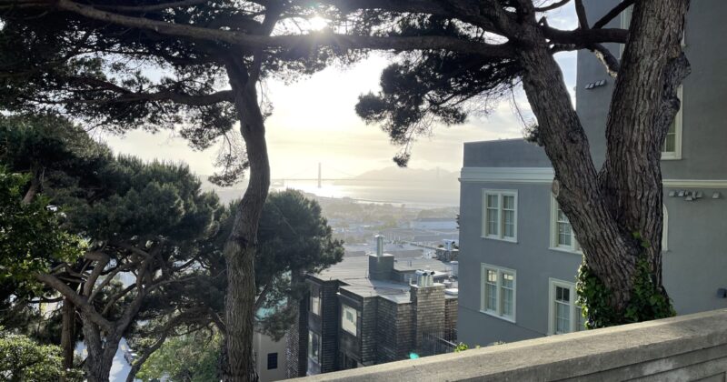 Golden Gate 1