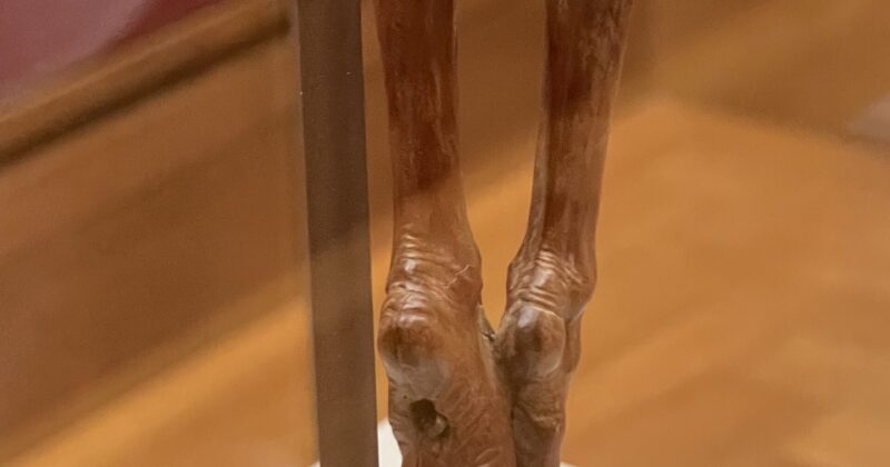 Wooden Carving 2