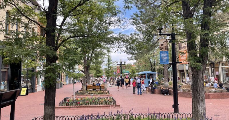 Trees on the Walkway